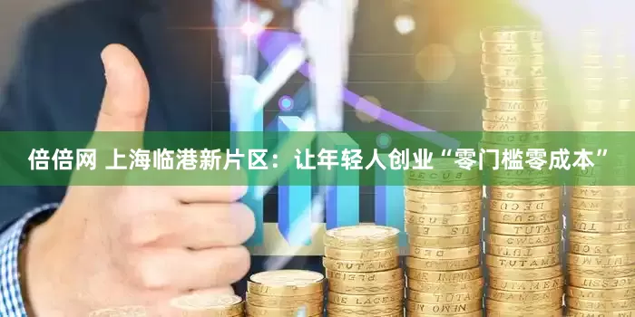 倍倍网 上海临港新片区：让年轻人创业“零门槛零成本”