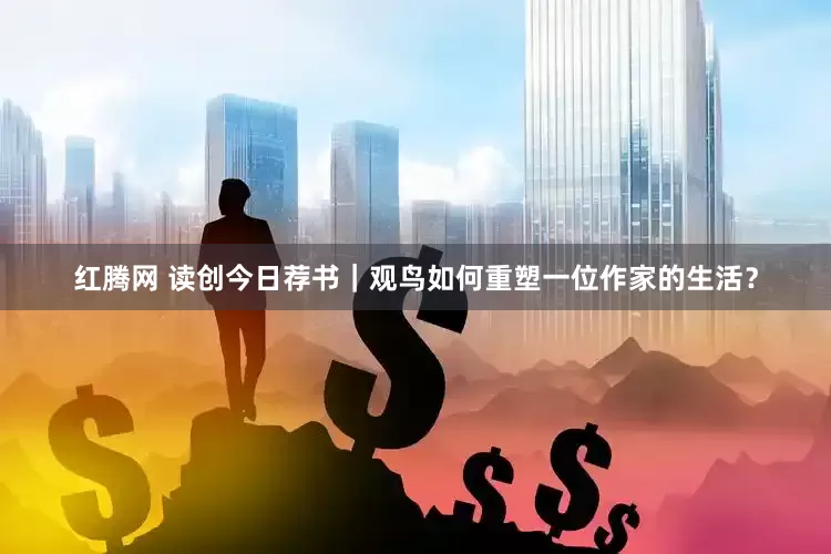 红腾网 读创今日荐书｜观鸟如何重塑一位作家的生活？