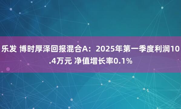 乐发 博时厚泽回报混合A：2025年第一季度利润10.4万元 净值增长率0.1%