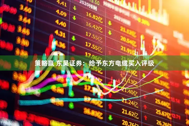 策略赢 东吴证券：给予东方电缆买入评级